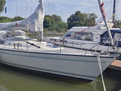 Dehler 36 Match Race