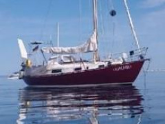 Harlinger Jachtbouw Cumulant III AK