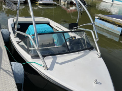 Correct Craft Ski Nautique 196