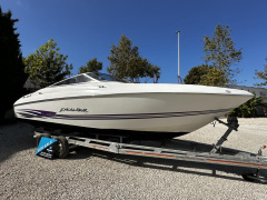 Wellcraft Excalibur 23 Sport