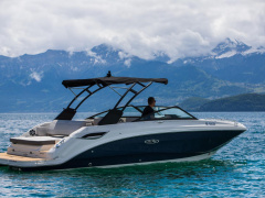 Sea Ray SDX 250