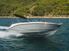 Bayliner V20i