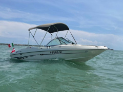 Sea Ray 176 BR