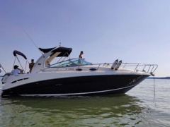 Sea Ray 335