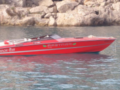 Pantera 24