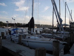 Catalina 36