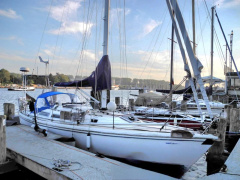 Catalina 36