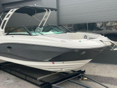 Sea Ray SDX 250