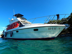 Princess 31