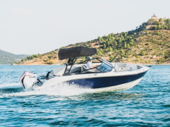 Bayliner V20