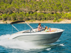 Bayliner V20I