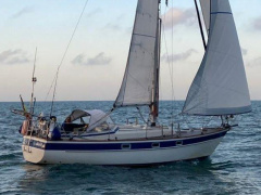 Hallberg-Rassy 312