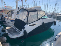 Sea Ray 265