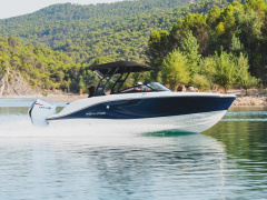 Bayliner V20