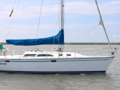 Catalina 320