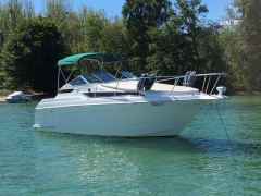 Wellcraft 2700 Martinique