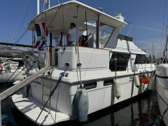 Carver 42