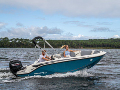 Bayliner ELEMENT M15