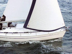 Bavaria 36/3 Cruiser