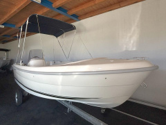 Quicksilver 500 Fish
