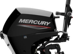 Mercury F20M