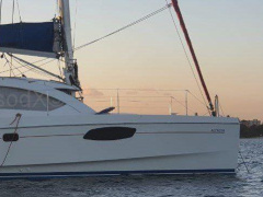 Leopard 38