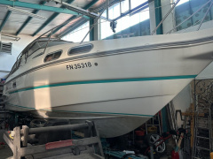 Sealine 290 Sportbridge