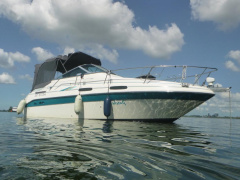 Sea Ray 230DA Signature