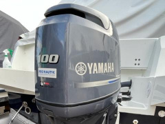 Yamaha F100DETX