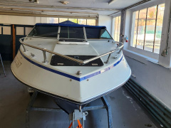 Four Winns 195 Horizon