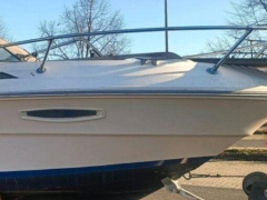 Sea Ray 210