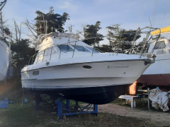 Birchwood TS 340