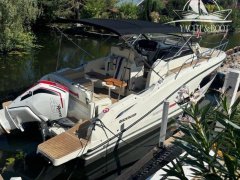 Quicksilver 875