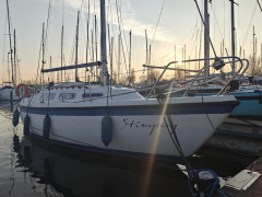 Hurley 800