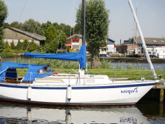 Wibo van Wijk wibo 930