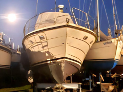 Condor Comtess Fly 44