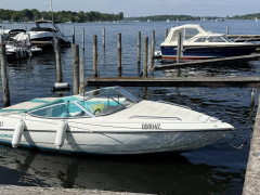 Stingray 558