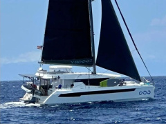 Leopard 50