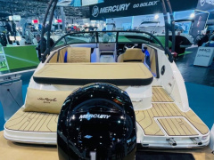 Sea Ray 190 SPO