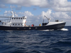Expedition Vessel Long Range 29M