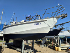 Bruce Roberts 40