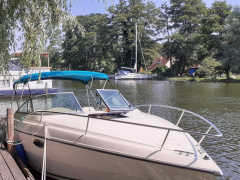 Stingray ZP 659