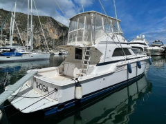 Bertram 46