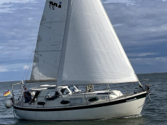 LM 27 mit Yanmar 30YM30 aus 2014