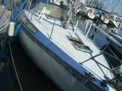Maxi 95