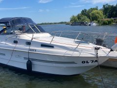 Öchsner Drago 29