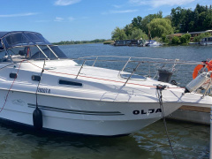 Öchsner Drago 29
