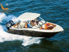 Scout Boats 255 DORADO