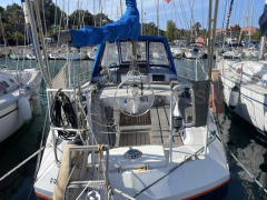 GALAPAGOS 43