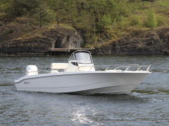 Boston Whaler 250 Dauntless
